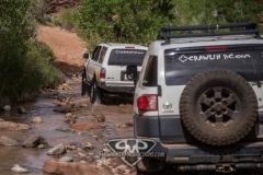 Mild Moab Toyotas (5)